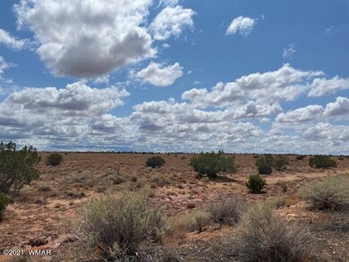 IMG_9829 (1)