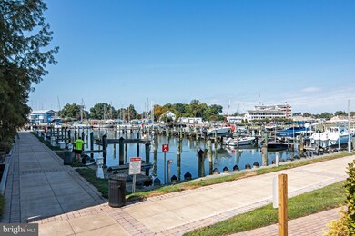 900 Marshy Cove unit 207E, Cambridge, MD 21613 - photo 3