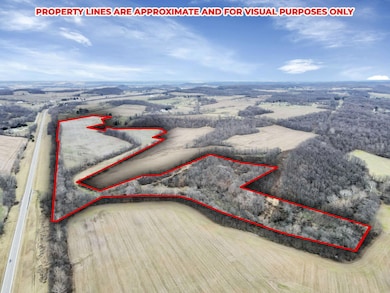 7-web-or-mls-DJI_0301 - Copy