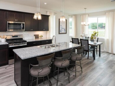 9949 Zilla St NW, Coon Rapids, MN 55433 - photo 4