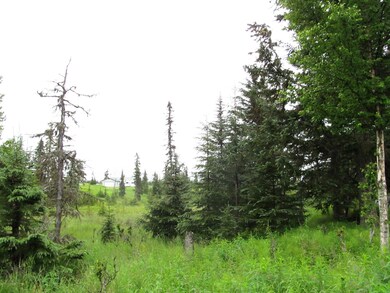 Some trees for privacy