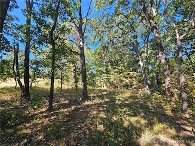 Tract D Beechnut Rd, Buffalo Township, MO 65078 - photo 7