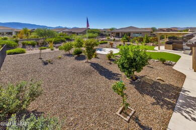 Backyard /Common Area
