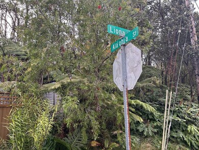 0 Ala Ohia St unit 706502, Volcano, HI 96785 - photo 6