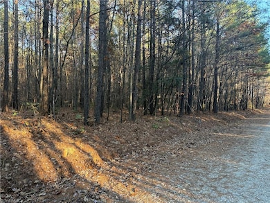 Lot 11 Woods Rd, Seagrove, NC 27341 - photo 5