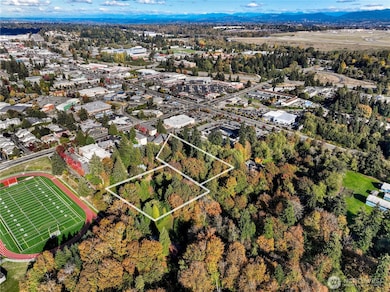 16504 3rd Ave SW, Seattle, WA 98166 - photo 4