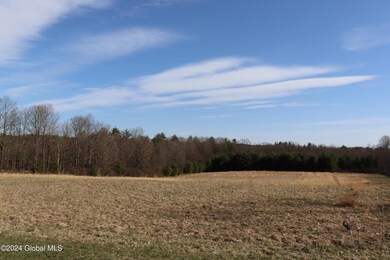 1 Chuck Hollow Dr, Milton, NY 12020 - photo 7