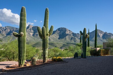 View From Patio