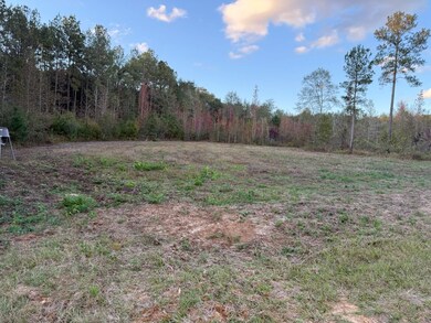 Sconyers Rd, Clio, AL 36017 - photo 4