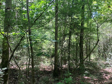 0 Mississippi 48, Tylertown, MS 39667 - photo 6