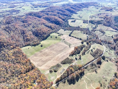 5360 Old Snapps Ferry Rd, Limestone, TN 37681 - photo 5