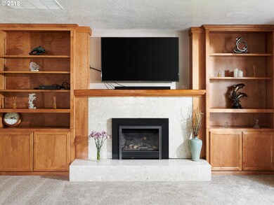 Fireplace Insert