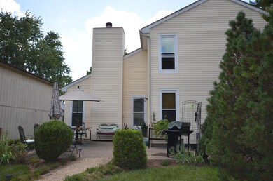 Back Elevation