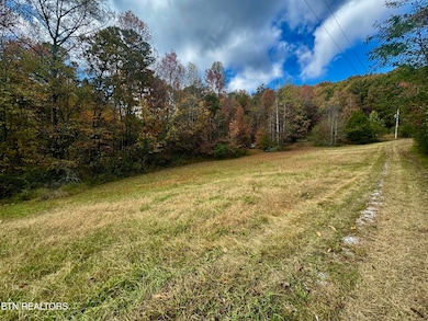 11537 Yarnell Rd, Knoxville, TN 37932 - photo 6