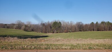 1041 Holstein Rd, Buckhead, GA 30625 - photo 4