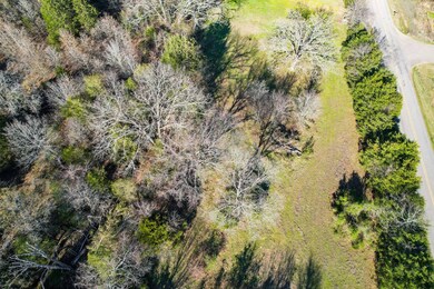 5100 Oak Bend Rd, Ozark, AR 72949 - photo 3