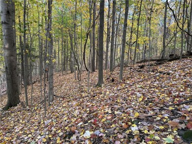 0 Eelpot Rd unit R1642565, Naples, NY 14512 - photo 5