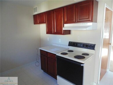 1126 Alsdorf St, Lansing, MI 48910 - photo 4