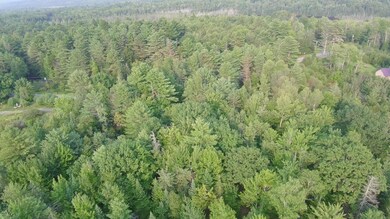 Lot 11-2 N Dexter Rd, Parkman, ME 04443 - photo 3