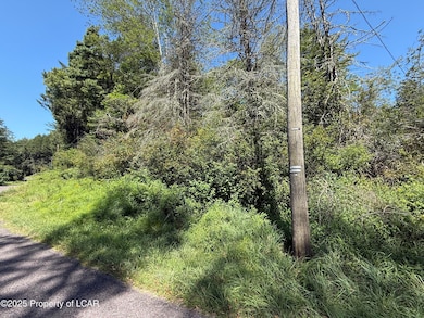 10 Peatmoss Rd, White Haven, PA 18661 - photo 2