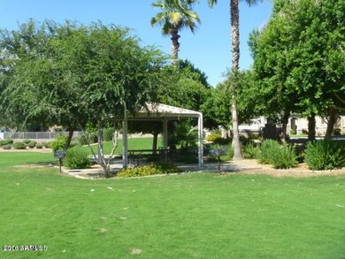 5313 E Hilton Ave, Mesa, AZ 85206 - photo 5