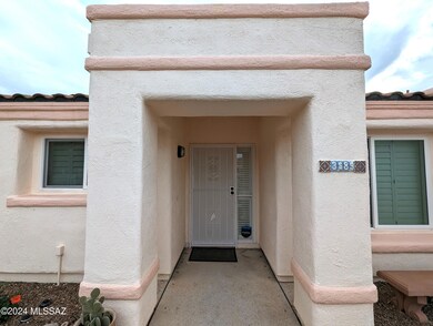 Front entry/security door