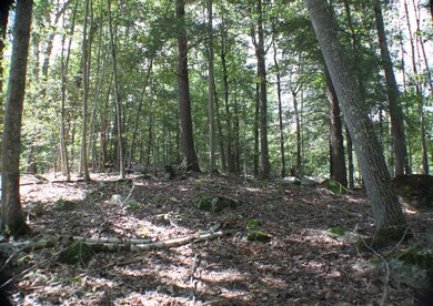 17 Emerald Point Dr, Frye Island, ME 04071 - photo 7