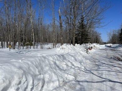 XXX Jackson Rd, Solway Township, MN 55720 - photo 5