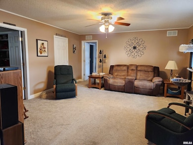 15766 E Tilton Rd, Ina, IL 62846 - photo 7