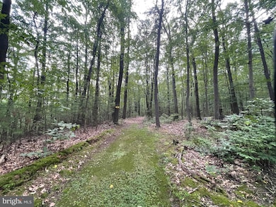 0 Long Run Rd, Pine Grove, PA 17963 - photo 7