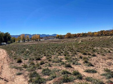 1331 20 Mule Team Dr, Cortez, CO 81321 - photo 2