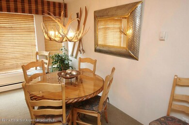 718 S Mill St unit 12, Aspen, CO 81611 - photo 6