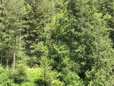 unlisted-address, Orting, WA 98360 - photo 3