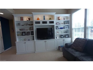 Custom Amish built-ins in living room