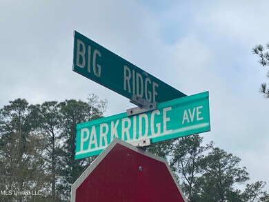 street sign big ridge