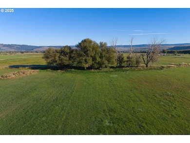 0 Upper Diamond Ln unit 25175967, Wallowa, OR 97885 - photo 7