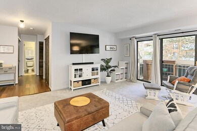 6139 Leesburg Pike unit 203, Baileys Crossroads, VA 22041 - photo 5