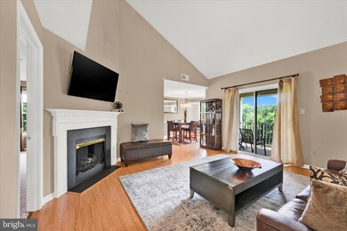 8805 Stone Ridge Cir unit 302, Pikesville, MD 21208 - photo 4