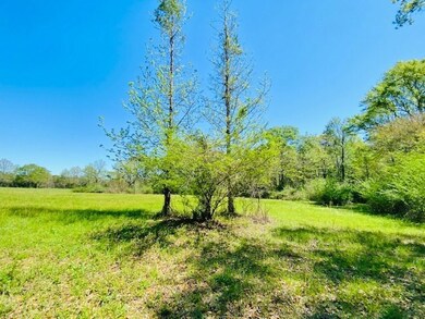 000 S Mary Topps Rd, Franklinton, LA 70438 - photo 4