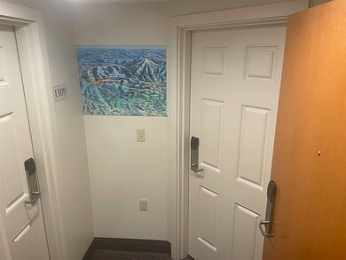 90 Loon Mountain Rd unit 1309D, Lincoln, NH 03251 - photo 2