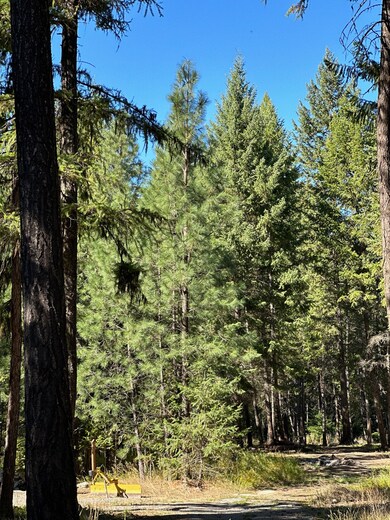 26 Tamarack Dr, Thompson Falls, MT 59873 - photo 7