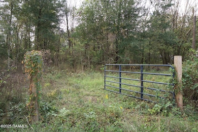 1864 Bushville Hwy, Arnaudville, LA 70512 - photo 2