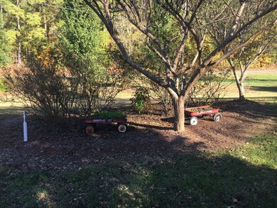 3342 Pickens Rd, Rocky Face, GA 30740 - photo 6