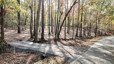 888 Old Hundred Rd, Pelzer, SC 29669 - photo 4