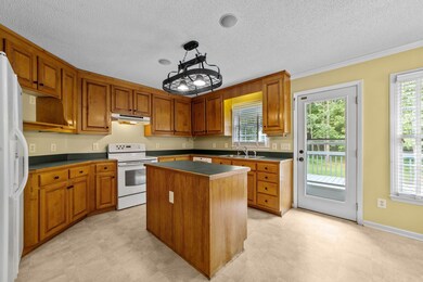 173 Olde Farm Rd, Pittsboro, NC 27312 - photo 6