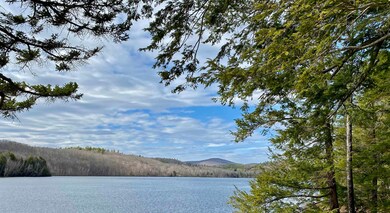 Trail around the lake
