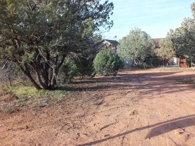 78 Skunk Hollow Ln unit 78, Payson, AZ 85541 - photo 2