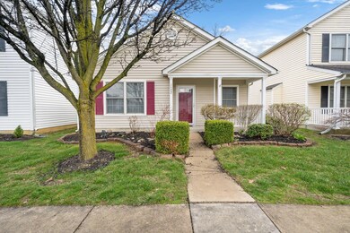 2-web-or-mls-DSC03066