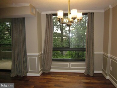 Encore of McLean unit 801, McLean, VA 22102 - photo 5