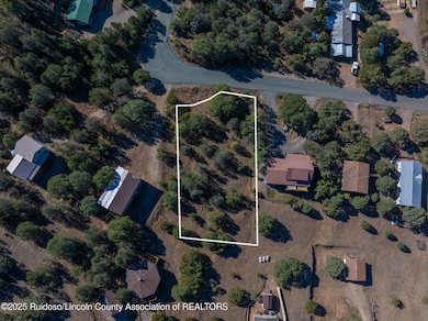 DJI_20251110131847_0479_D